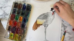 Венценосный Журавль акварелью КАК РИСОВАТЬ АКВАРЕЛЬЮ HOW TO USE WATERCOLOR 수채화 사용 방법