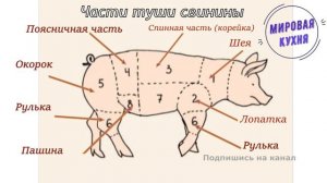 Части туши свинины (читать описание)