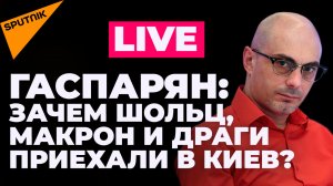 Гаспарян: признание Арахамии о потерях ВСУ и визит в Киев Шольца, Макрона и Драги