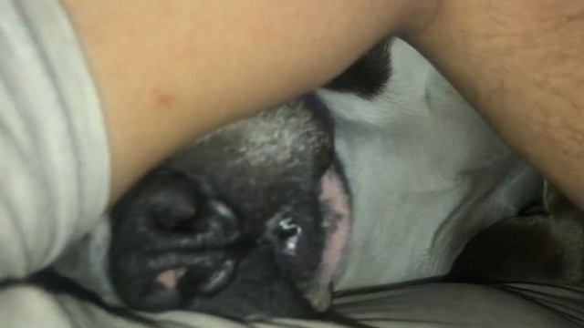 Стаффорд Оскар лежит под одеялом смотреть онлайн