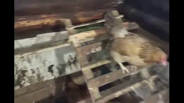 Отзыв от Ивана Бояринцева смотреть онлайн