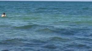 Стерегущее/ Бюджетный отдых с детьми!