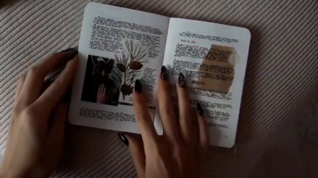 дэрил / личный дневник / комментарии / 1