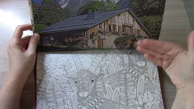 ОБЗОР РАСКРАСКИ УГОЛКИ ФРАНЦИИ ВДОХНОВЛЯЙСЯ И РИСУЙ/Полистаем вместе смотреть онлайн