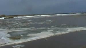 Алешкинская протока