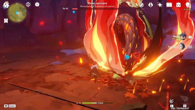 геншин; пиро орхидея; смотреть онлайн