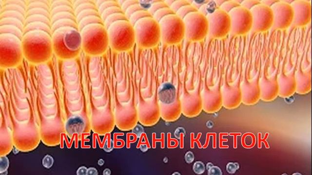 Гидроплазма смотреть онлайн