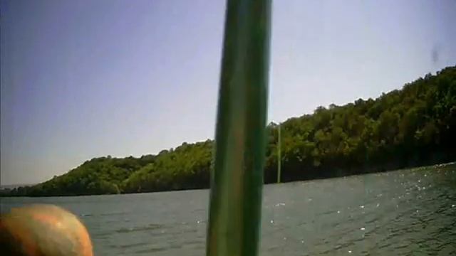 крупный толстолобик 16 кг в конце фото смотреть онлайн