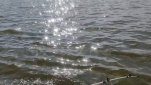 Дон, Песковатка 26 07 2020