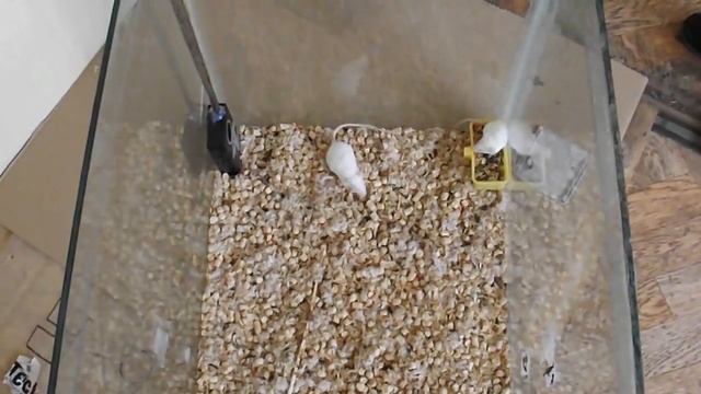 Ультразвуковой отпугиватель крыс и мышей на батарейках "ГРАД А-550УЗ" смотреть онлайн