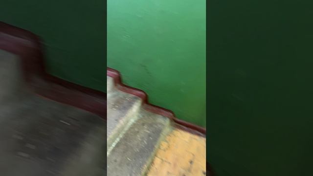 Странные птицы смотреть онлайн