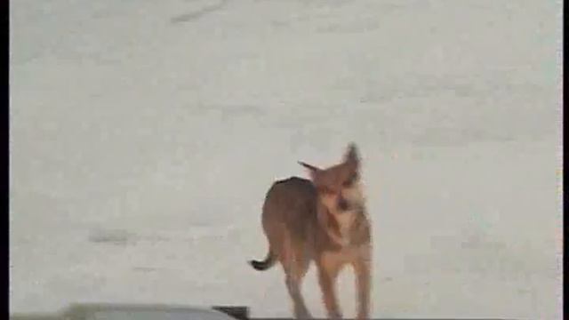 Эфир Автоплюс часть 4