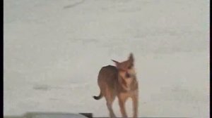 Эфир Автоплюс часть 4