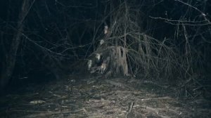 Заснял РЕАЛЬНУЮ сущность с потустороннего мира Провел сеанс ЭГФ