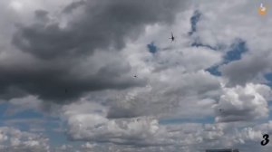 ВЕРТОЛЕТ УПАЛ!!! [Топ-5]