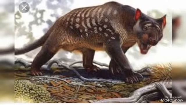 TOP 10 древних животных смотреть онлайн