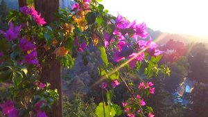 Удивительный остров Кос, Греция. 2017