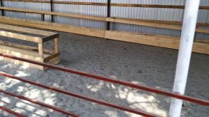 ГИССАРСКИЕ И ЭДЕЛЬБАЕВСКИЕ БАРАНЫ (и много прочего интересного)