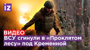 ВСУшникам «насыпают» от души под Кременной, Кадыров пообещал ₽5 млн за голову боевика / Известия
