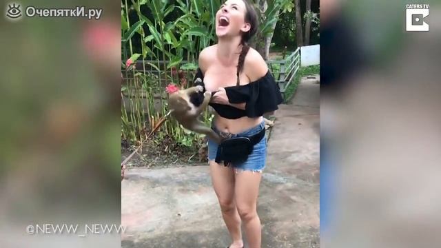 Обезьяна заигрывает с девушкой смотреть онлайн