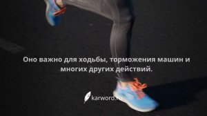 Удивительные факты - сила трения