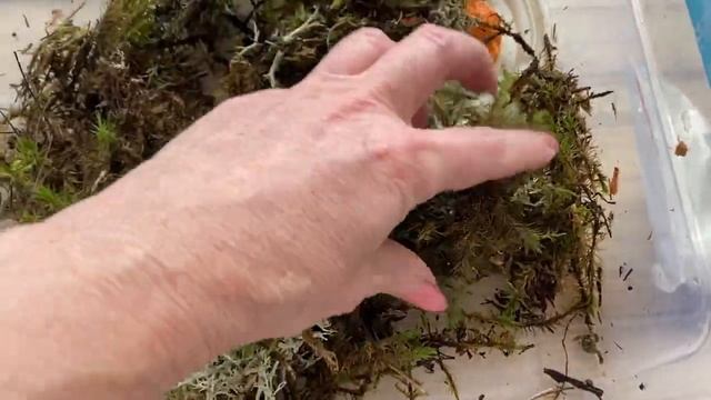 Макияж по новому лайфхак ???Кто победил?