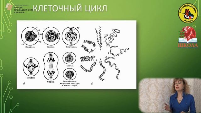 Школа юного исследователя. Занятие 1.  "Исповедь непокорной молекулы" смотреть онлайн