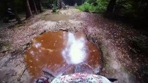 Месим грязь в лесу на питбайке