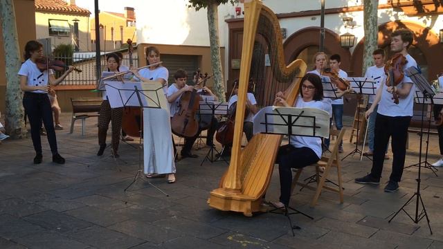 I-Allegro, Concerto in C Major for Flute and harp, K 299 смотреть онлайн