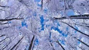 НАРОДНЫЕ ПРИМЕТЫ НА 11 ЯНВАРЯ – ДЕНЬ ИОСИФА ОБРУЧНИКА