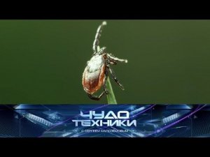 "Чудо техники": что делать при укусах клещей и почему падают балконы (23.09.2018)