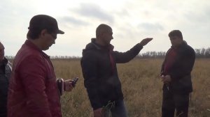 Практика применения технологий прямого посева. Горчица и редька масличная как покровный культуры