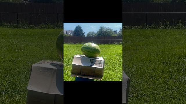 ? Colt Python ? .357 Magnum vs Watermelon ? SLOW MOTION