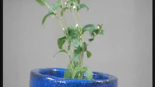 Inside View #314 Richard Lundin, New Technology смотреть онлайн