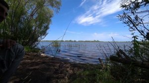 🐟 Ловим Карася 🐟 Новое место для рыбалки