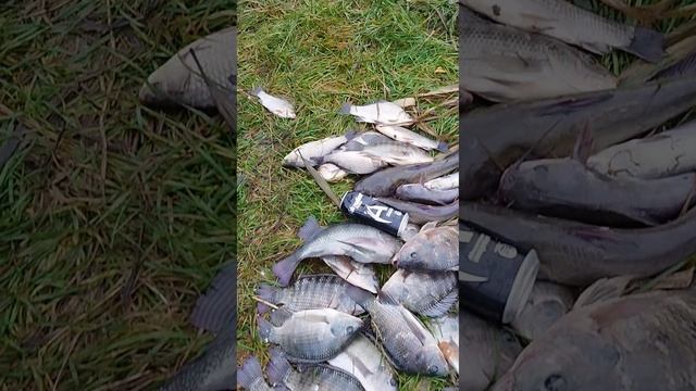 Улов так улов смотреть онлайн