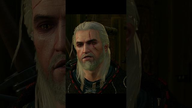 The Witcher 3 Wild Hunt