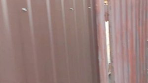 Кто поверит ТЕПЛИЦА У ЗАБОРА ????❤️