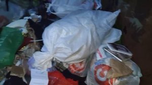 Что можно найти на мусорках Санкт-Петербурга? Находки на мусорке!