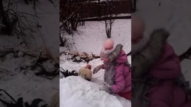 Мертвый петух смотреть онлайн