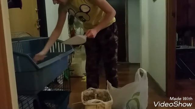 Вся правда о кроликах. Вислоухие и как с ними жить) смотреть онлайн