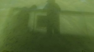 Ставрополь 2022. Комсомольский пруд в Ставрополе. Самое лучшее место отдыха в Ставрополе