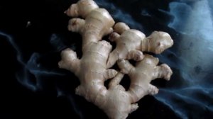 Growing Grocery store Ginger Root .