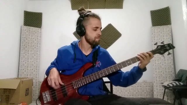 Lizzo - Juice (Bass Cover) #juice #bass смотреть онлайн