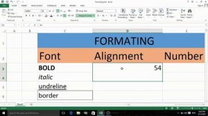 This video shows cell formatting in excel/How to format cells in excel