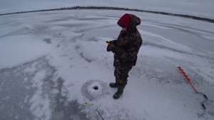 так они ещё не ловили  перволёдка 20/21 обучение детей ловли на блесну и балансир