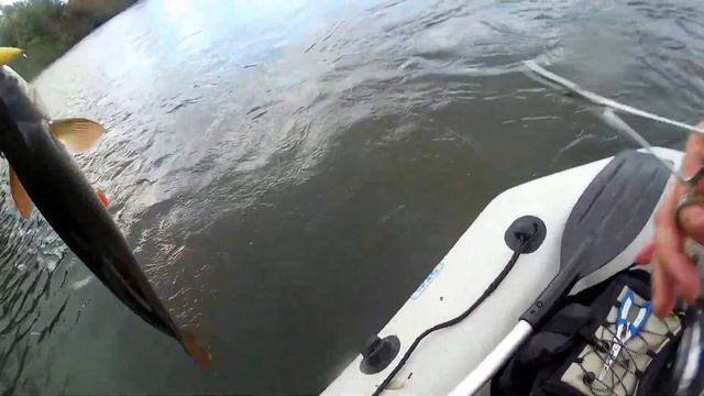 Поклёвка язя р. Мокша ультралайт. смотреть онлайн