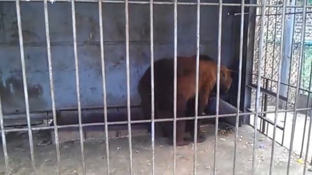 Михалыч смотреть онлайн