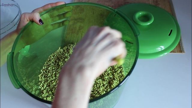 Как я проращиваю зёрна в проращивателе| Прорастить гречку| Cколько по времени?