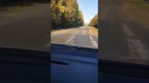 Дорога в с.Аргаш Инзинский район по которой возят детей в школу